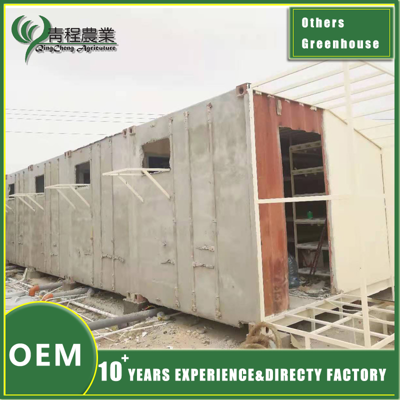 commercial greenhouse for planting