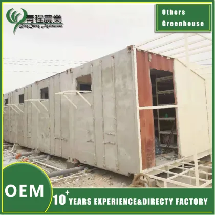 Innovative Planting Greenhouse Design for Agriculture