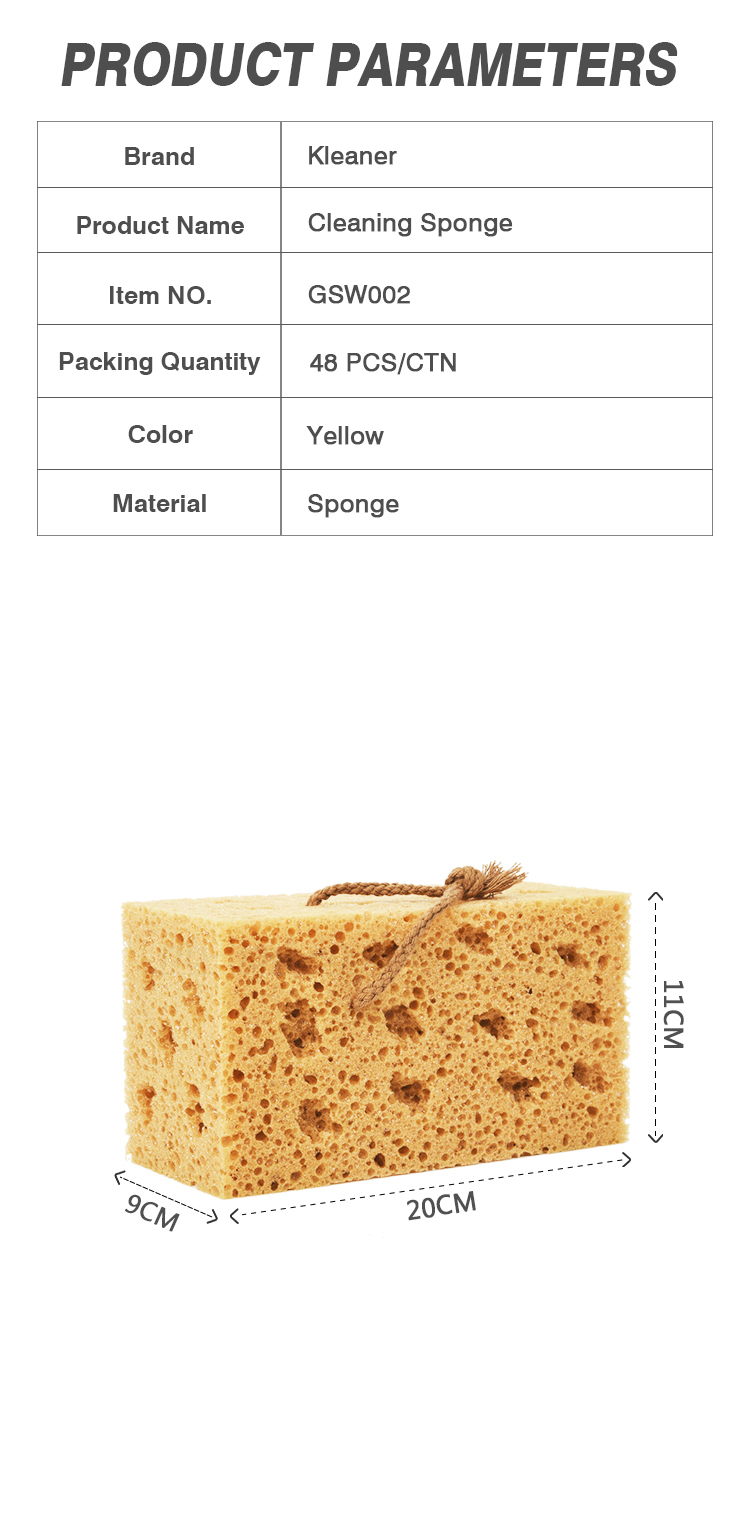 car wash sponge