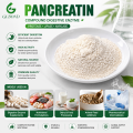 Aplicaciones farmacéuticas de apoyo digestivo del polvo de enzima pancreatina