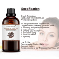 Wholesale bulk natural Moisturizer For Skin Hair Moringa Oil