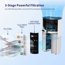 best air purifier for home