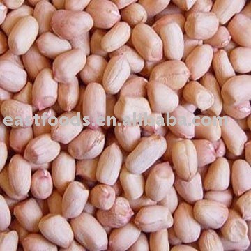 peanut kernel round type