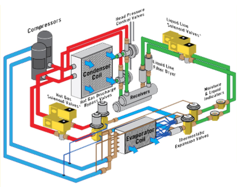 Location of EVR6-038S solenoid coil valve in refrigeration system