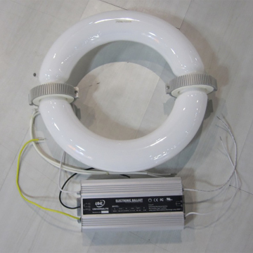 200W Low Frequency Electronic Discharge Lamp LVD Bulb