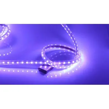 LED Strip Light High Quality Waterproof IP40/IP65