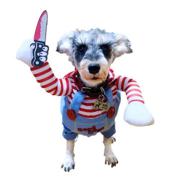 Whimsical Pet Clothes for Fun Role-Playing