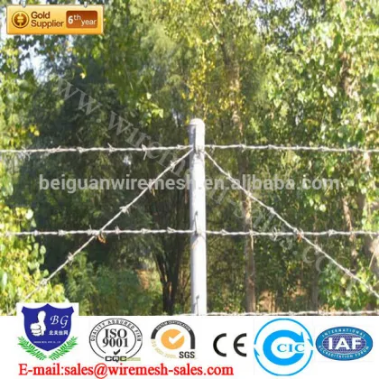 elec galvanized barbed wire