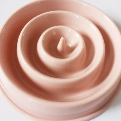 Outward Hound Fun Interactive Dog Bowl Pet Feeder