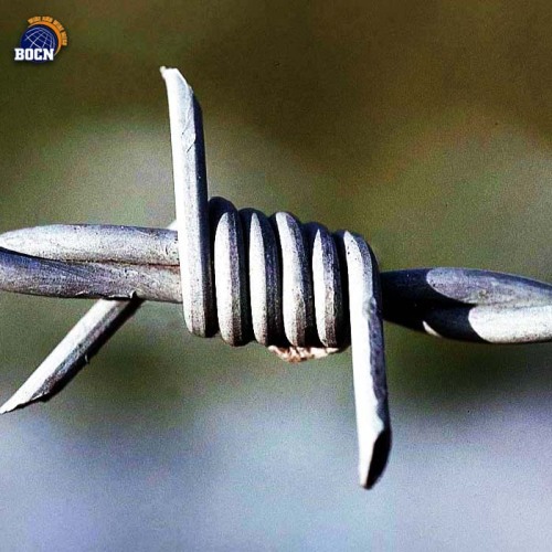 2.00MM 50KG/roll hot dip galvanized barbed wire