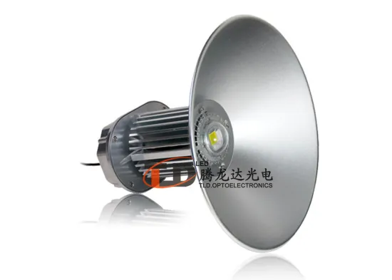 Ip65 Outdoor Lighting Led High Bay Led Light 100w For Exhibition Building, Domestic Block