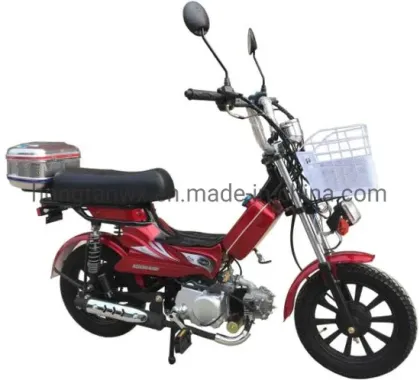 Adult Gas Motorcycles and Moto Scooters