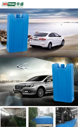 Factory Wholesaler: Plastic Reusable Ice Pack Cubes for Food & Fruits in Cold Chain