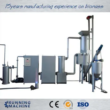 Biomass gasifier system with gas generator