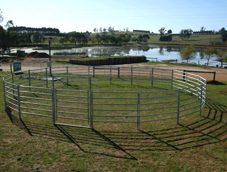 Australia Cattle Farm Equipment Rails cerca de los paneles de ganado