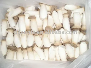 Fresh Pleurotus Eryngii Mushroom