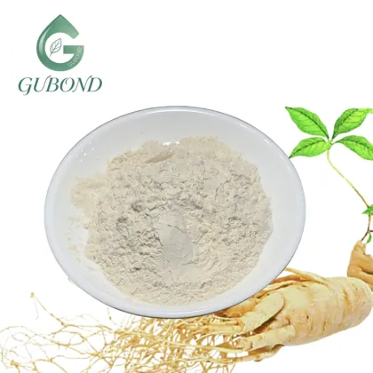 Ginseng Saponins Powder for Nutritional Supplements