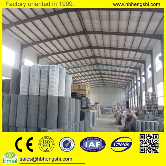 Hebei Factory 2x4 welded wire mesh with high quality