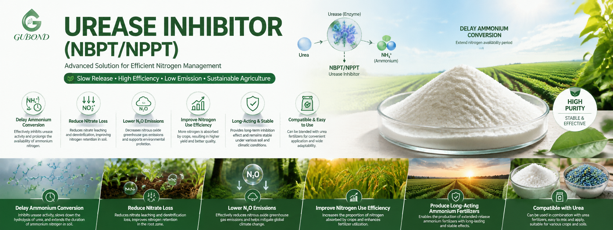 Nitrification Inhibitor