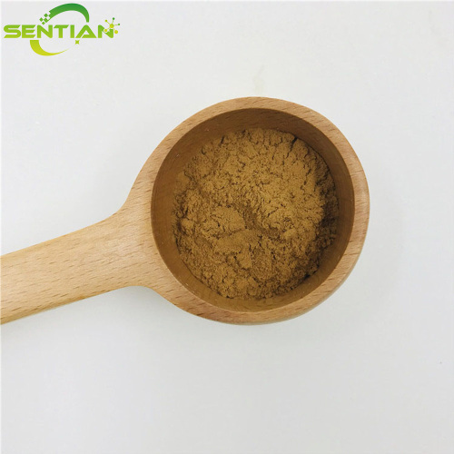 Premium Plant Extract with Chlorogenic Acid