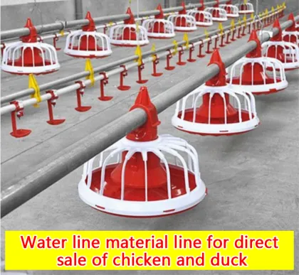 Modern Automated Broiler Chicken and Duck Farm Equipment: Complete Poultry Raising Systems