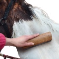 Horse Scraper for Efficient Pet Grooming and Cleaning