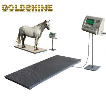 North Texas Heavy Duty Livestock Scales for Pig and Horse Weighing