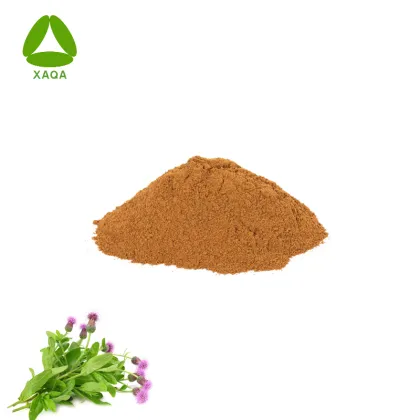 Wholesale Organic Burdock Root Extract Powder