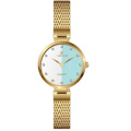 Damas Minimalismo Mesh Watch Bandband Quartz Watch Watch