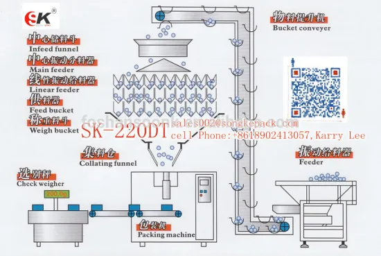 High speed 10 Head Automatic Snack Vertical Packing Machine(SKK20DT)