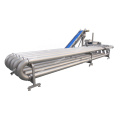 Root Vegetable Processing Line for food industry