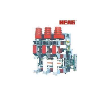 FZ(R)N25-12D Indoor Vacuum Load Break Switch