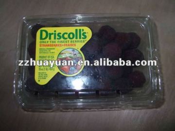 High Quality Chinese Black pulp waxberry