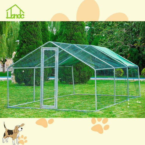 Large walk-in simple chicken coop