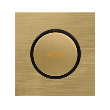 LD Series 1 Gang 45A AC Switch