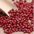 Estratto di fagioli per reni rosso naturale puro in polvere