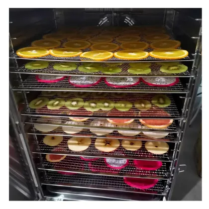 Creative Design Fruit and Vegetable Food Dryer for Gooseberry