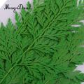 12pcs Natural Press Fern Leaves Pressed Real Dried Flower Dry Leaves for DIY Crafts Bookmark Scrapbooking Card Making