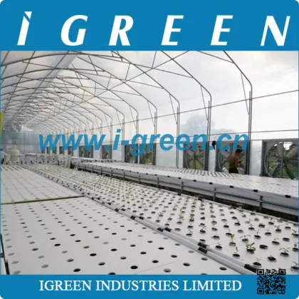 Agricultural PVC hydroponics growing systems