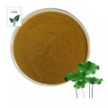 Natural Pure Fresh Lotus Leaf Extract