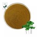 Wholesale Lotus eaf extract powder