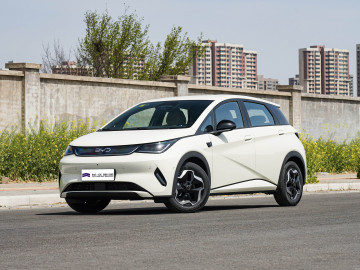 2025 BYD Dolphin 420km Range electric car
