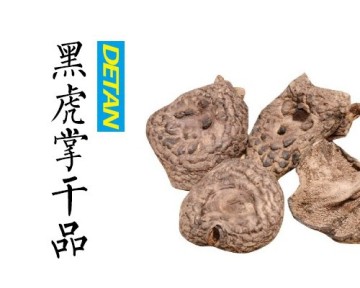 Healthy Dried Wild Sarcodon Aspratus