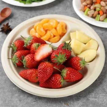 Biodegradable 3-Compartment Sugarcane Bagasse Dinner Plates