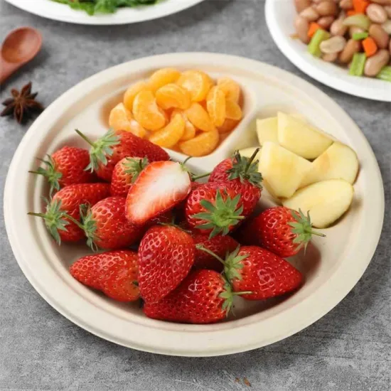 Biodegradable 3-Compartment Sugarcane Bagasse Dinner Plates