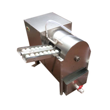 Brush Cleaning Egg Washing Machine for Home Use - WhatsApp: +86-15639144594