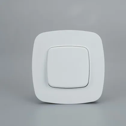 2 Gang European Standard Double Way Wall Light Switch