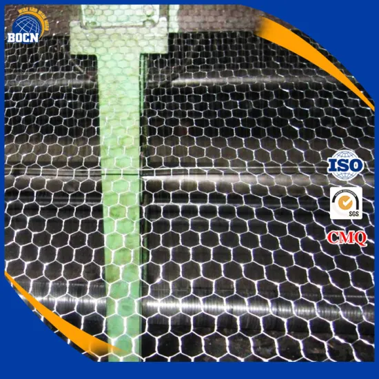 chicken farm hexagonal wire mesh