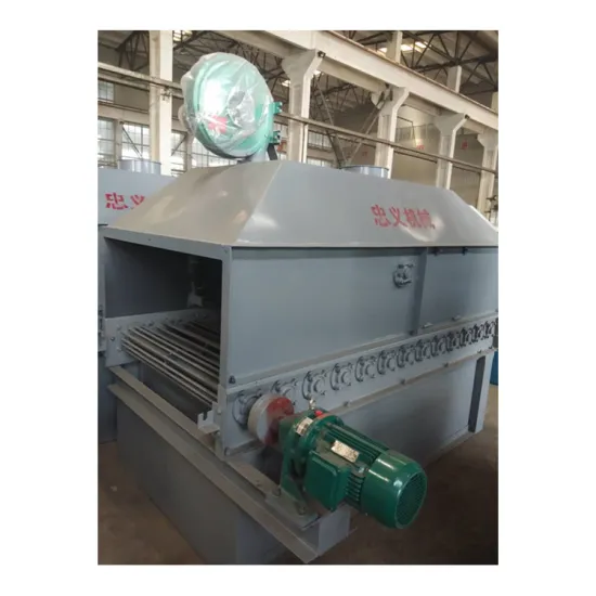 BHQ-800Z(GL13) Roller Cage Conveyor for Cement Bag Cleaning