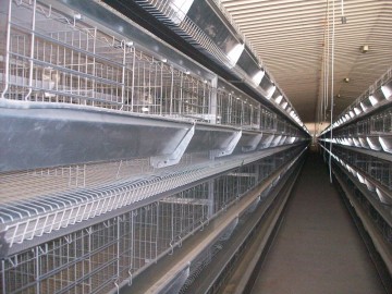 broiler cage poultry equipment chicken cage poultry farm
